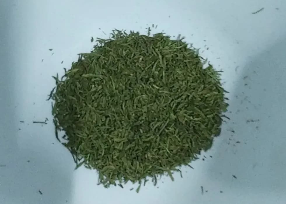 ニンジンの葉でパセリ代わりの栄養パウダー