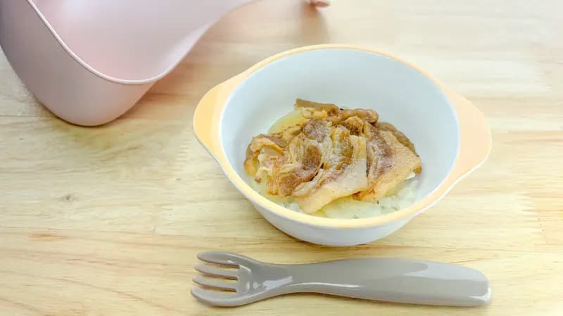 \簡単どんぶり/やさしい豚丼