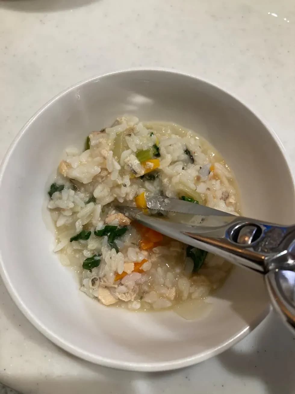 【離乳食後期から】鮭チャーハンおじや